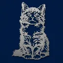 ChatGPT Image May 21, 2026, 02_11_44 PM.webp