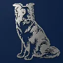 chien de troupeau inox.webp