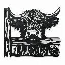 Le boeuf highland