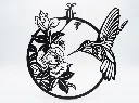Petit colibri